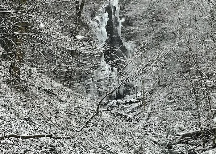 度假居 Kleine Elpe